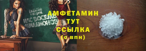 ECSTASY Алзамай