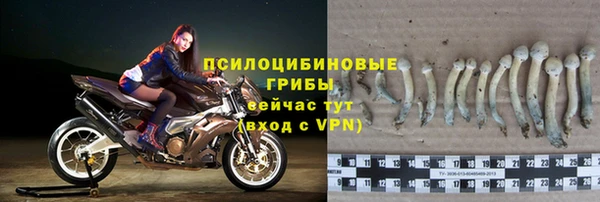 ECSTASY Алзамай