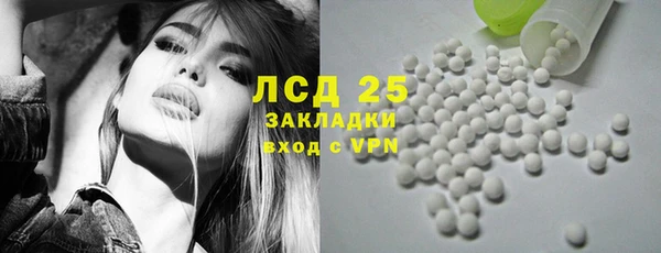 ECSTASY Алзамай