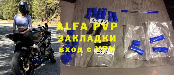 ECSTASY Алзамай