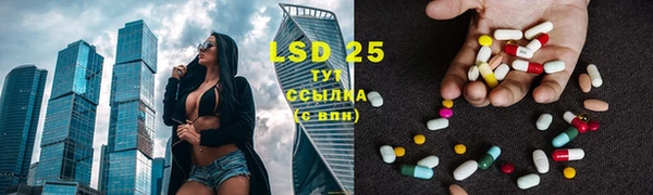 ECSTASY Алзамай