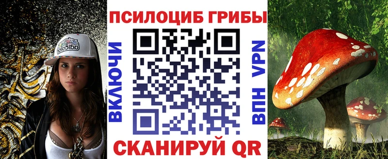 наркота  Рыбное  Псилоцибиновые грибы ЛСД 